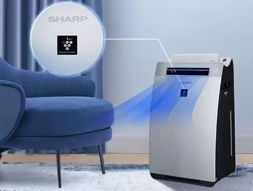 2026���������������ǰʮ��Ʒ�Ʒ��ϣ����ز��ɴ������ż��ÿ�Ʒ��