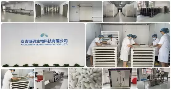 ��������ġ����ո���������������߸����鵰�׳ɱ��߼�