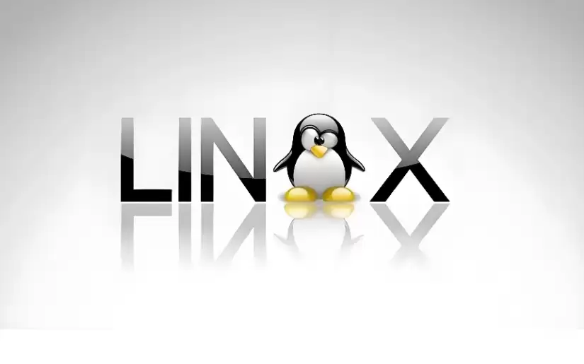 Linux�ں�ȷ�������Ƚ�������Ӧ�����仯��ս