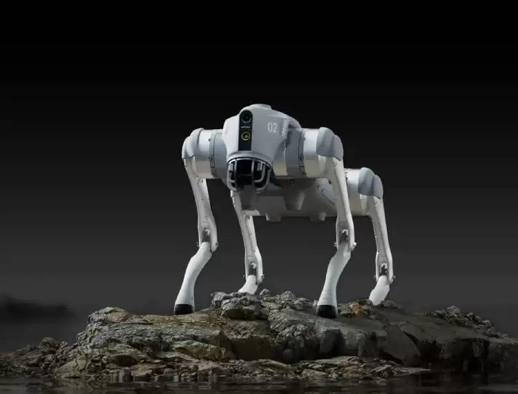 �����Ƽ����������ȫ�������Ƕ������������̨��ռ��60%