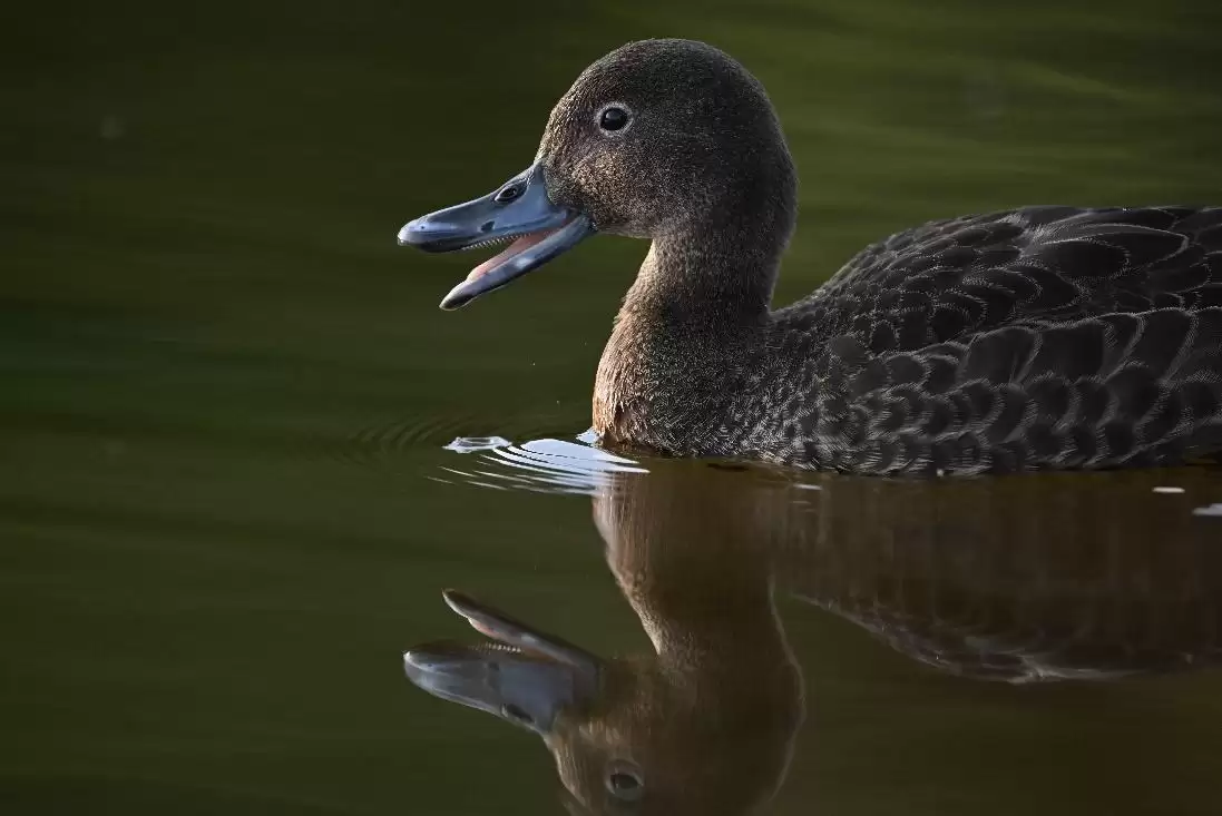 ����ʪ�����飬������Ȼ����֮��