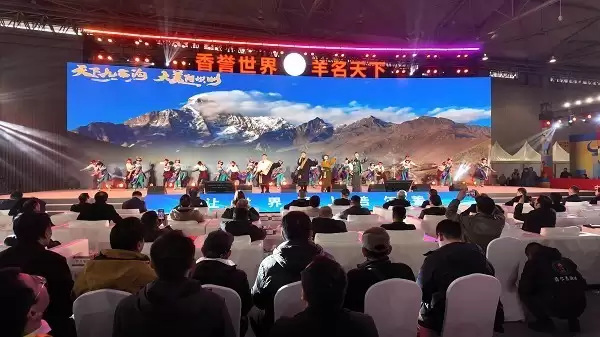 ����������●�������¡� ��������������ʳ�����Ƚ���