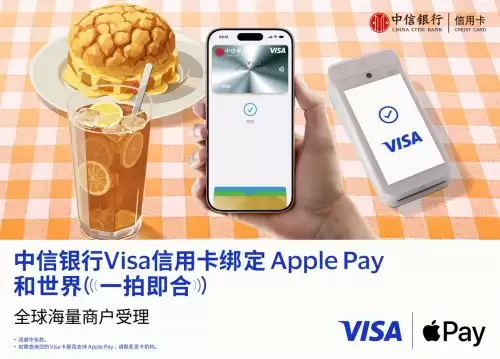 ��������֧�������߽�Visa����Apple Pay ����֧������ݡ�����ȫ