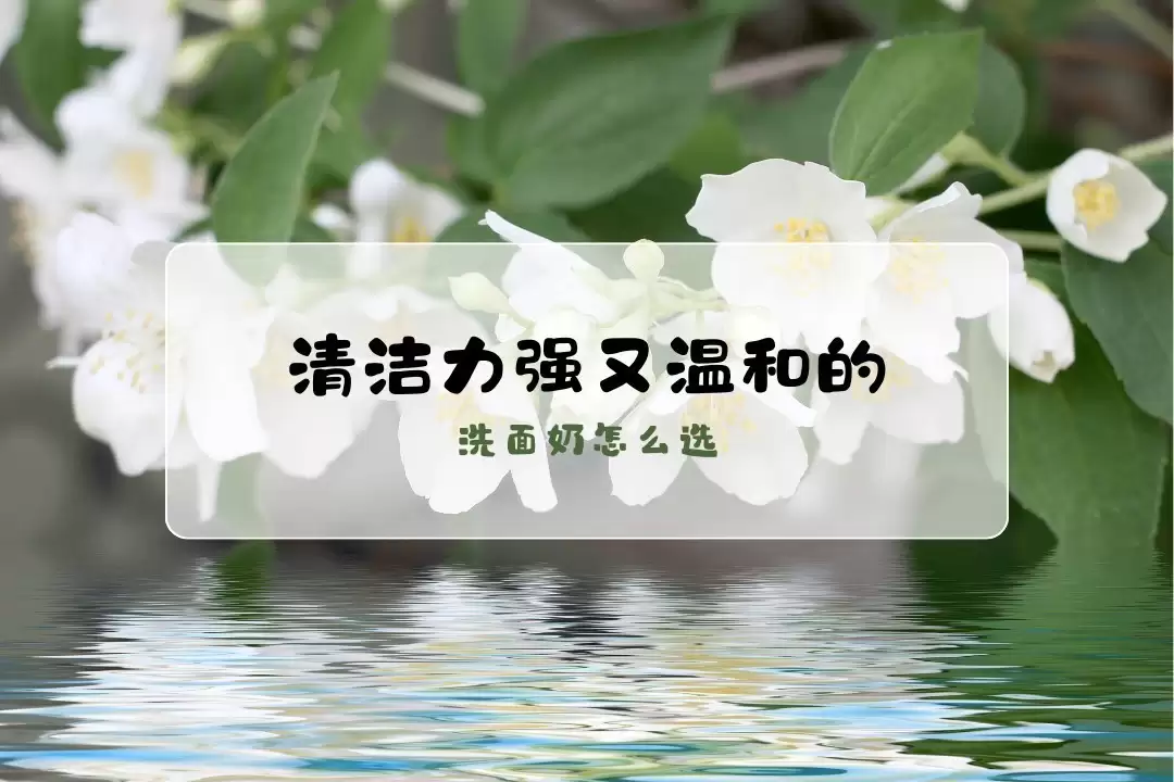 �����ǿ���º͵�ϴ������ôѡ��2026ʵ����õİ�����ϴ�����Ƽ�