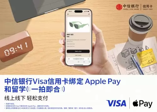 ��������֧�������߽�Visa����Apple Pay ����֧������ݡ�����ȫ