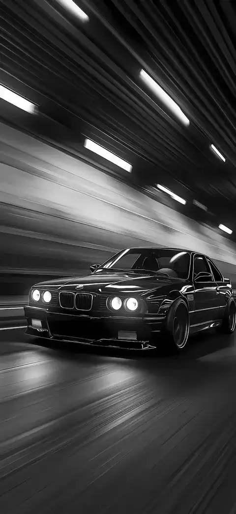 ����ϵ������ֽ���߷ֱ��ʳ��ֻ�е�ʸ����Ӿ�����