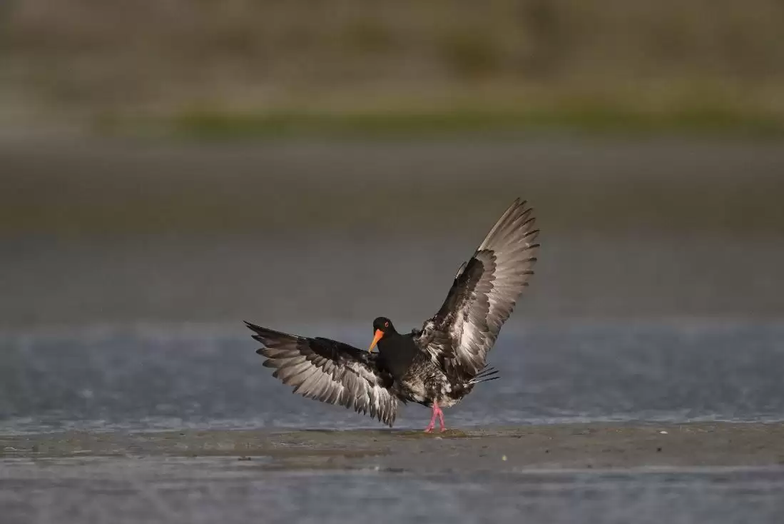 ����ʪ�����飬������Ȼ����֮��