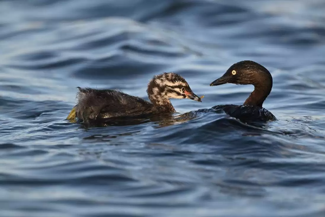 ����ʪ�����飬������Ȼ����֮��