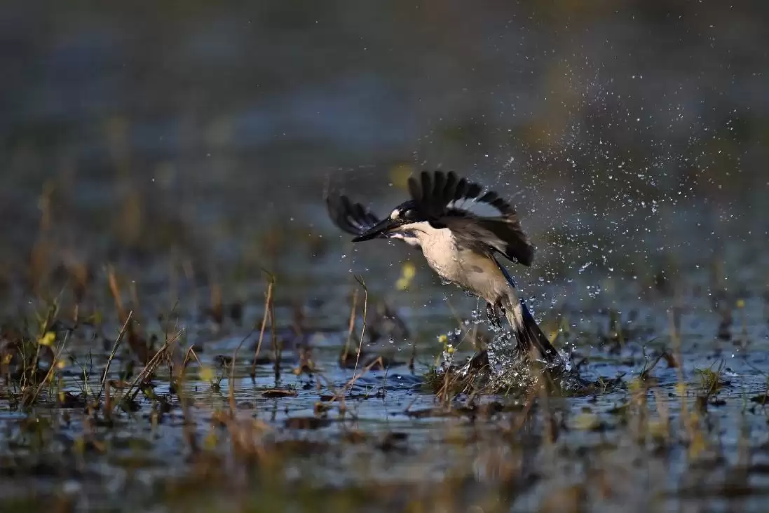 ����ʪ�����飬������Ȼ����֮��