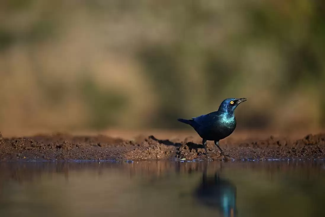 ����ʪ�����飬������Ȼ����֮��