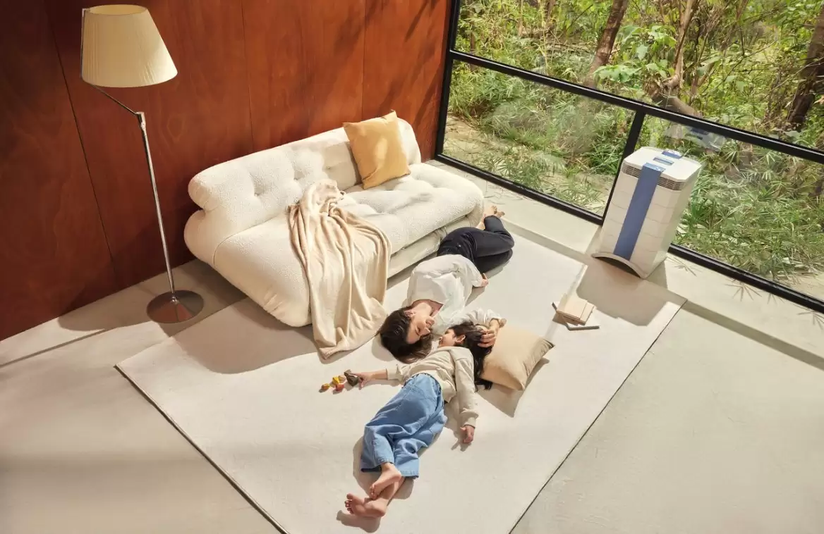 װ���·�����ȩ������������������ôѡ��2026��ʮ�����Ż�����Ⱥ���