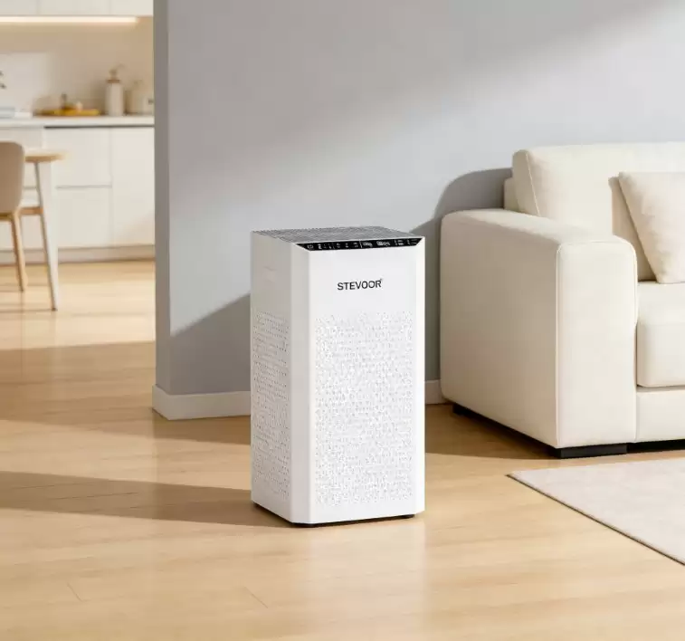 2026��������������Ȩ����������ȩ���Ĳ���ʮ��Ʒ��ѡ���Ƽ�