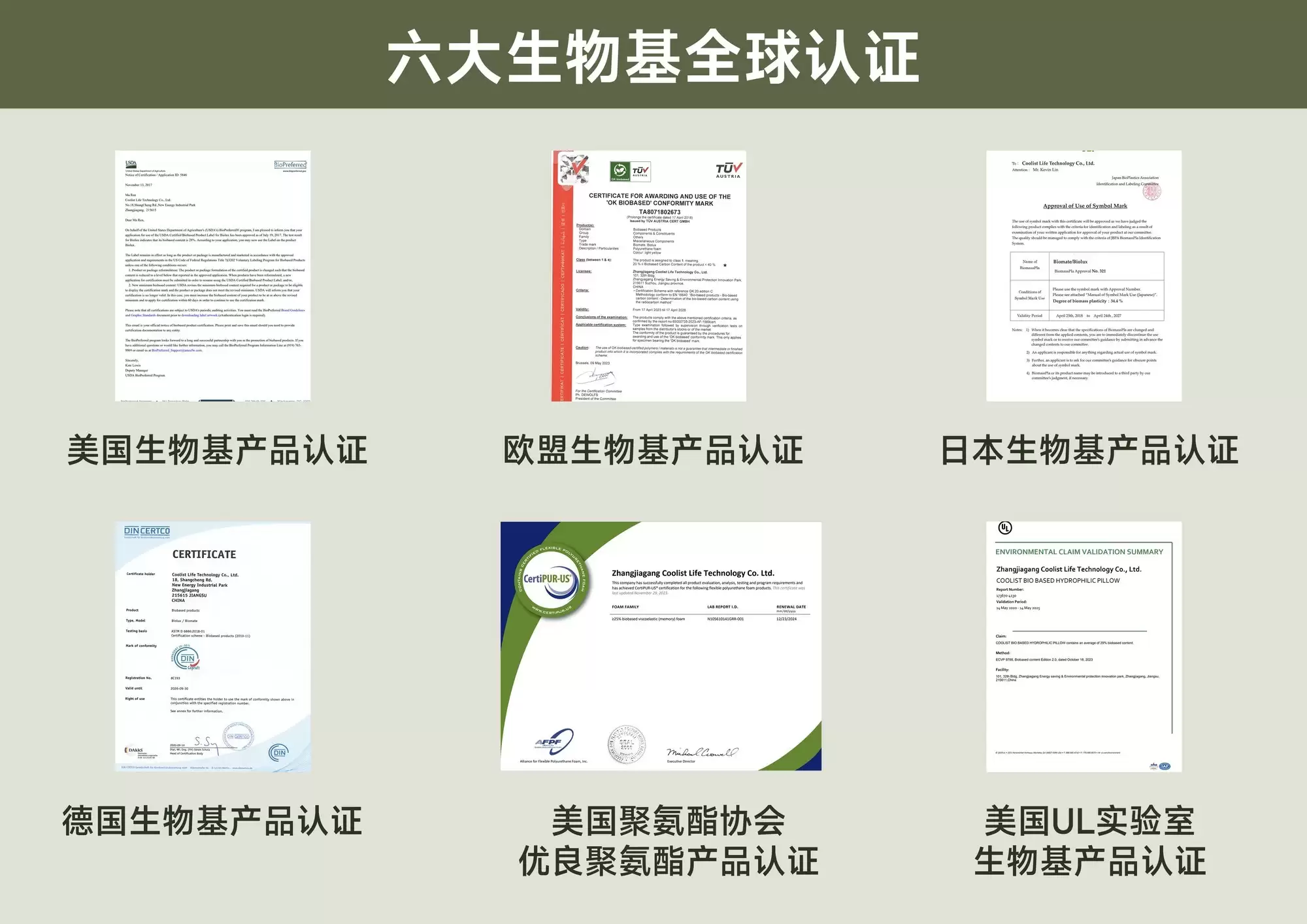 2026��������˯����ͷ���ƣ�A��ĸӤ����ȫ��ͷ�������