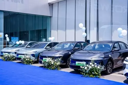 ʮ�򼶵糵��ʵ������������D6�����ذ�����