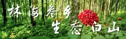 2026�괺�����������ܲ����ϲ���֤��ʧ����Ϊ����ȫ