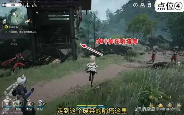 ���շ�����ĩ����Ҷ�βɼ���λ���� ��Ҷ����ô���