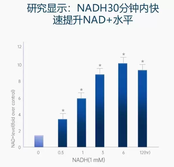 NAD+�������ѡ��Nam��NR��NMN���ǣ�