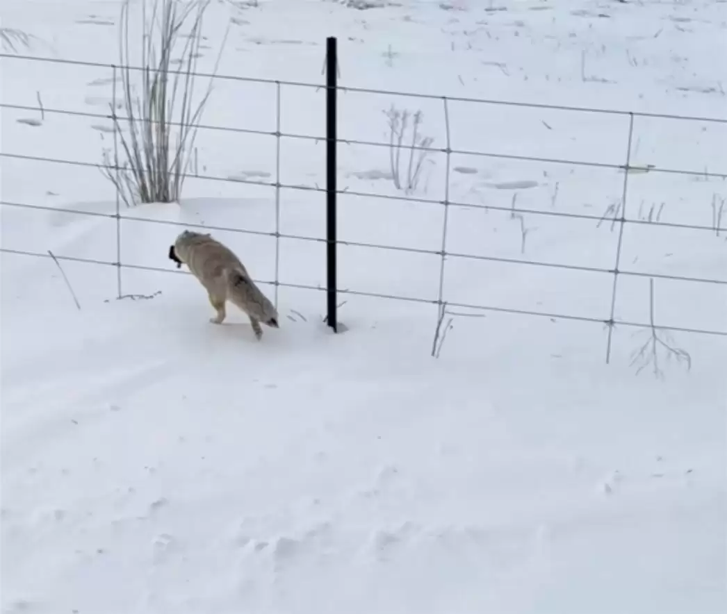 Ұ����������˶���������񣬲���Ѱ���豸Ӱ�����