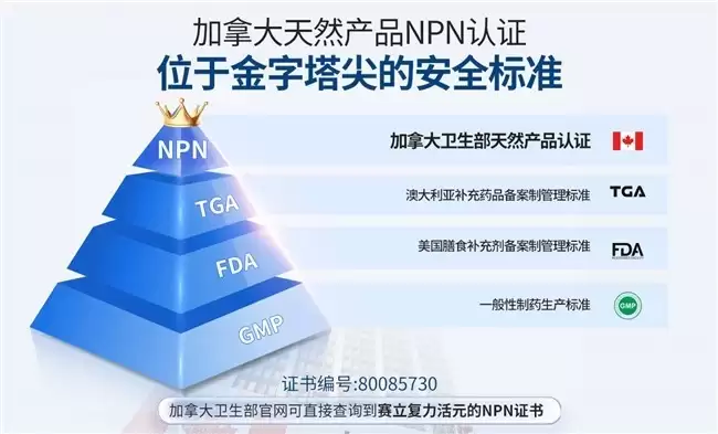 NAD+�������ѡ��Nam��NR��NMN���ǣ�