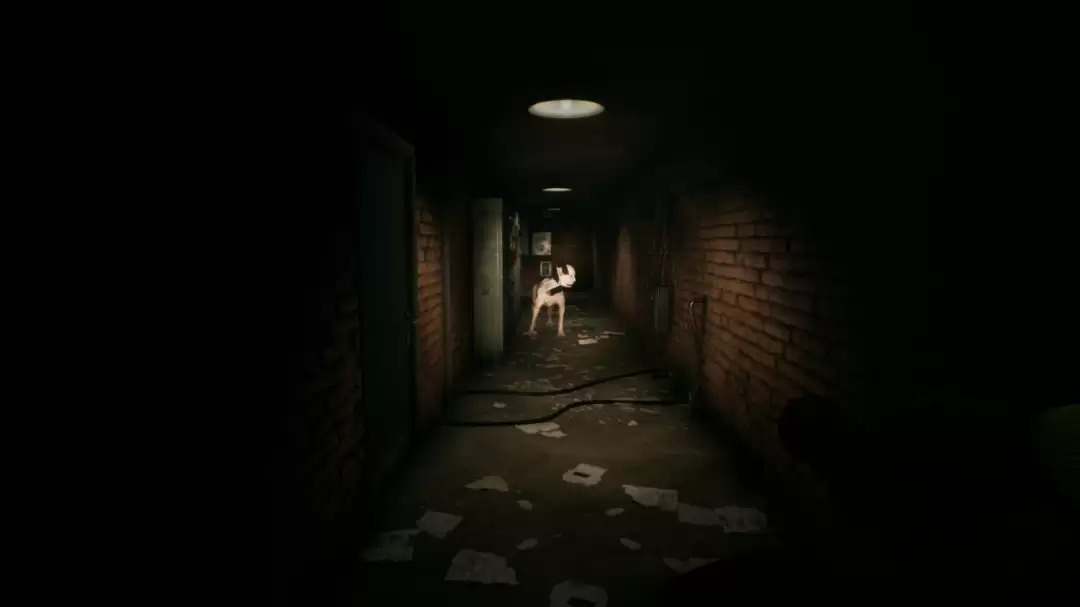 ��������ҡ������ͨ�ع��Է���