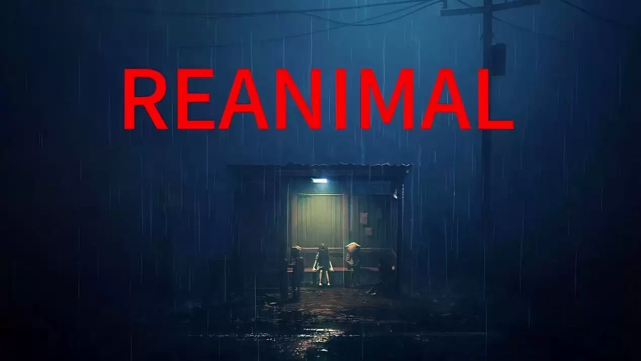 ������ʲô�����������Ƽ�