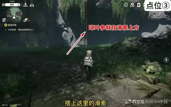 ���շ�����ĩ����Ҷ�βɼ���λ���� ��Ҷ����ô���