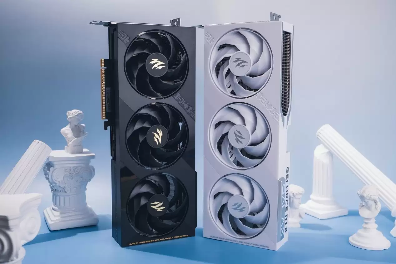 ������ʲô�����������Ƽ�