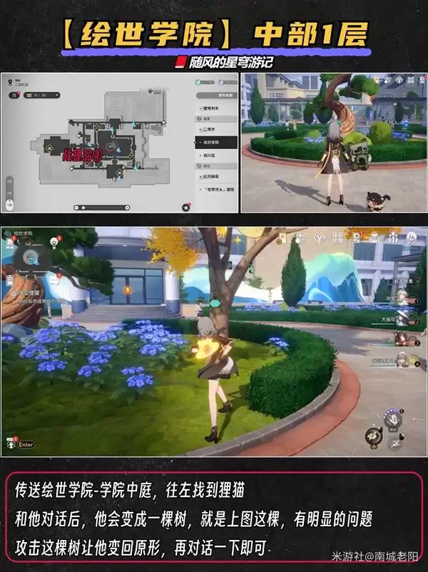 �����������11ֻ��è�ռ�����