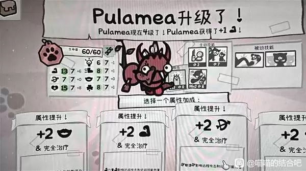 �����Ľ�Ϻ�������˼· ����ǿ��è��������