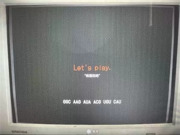 ����Σ��9�ռ�������������