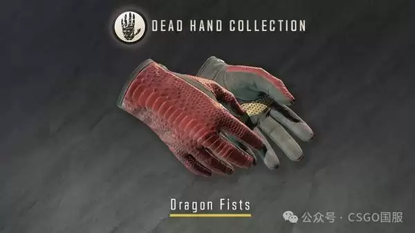 CS2����֮���ղ�ƷƤ��չʾ