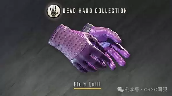 CS2����֮���ղ�ƷƤ��չʾ