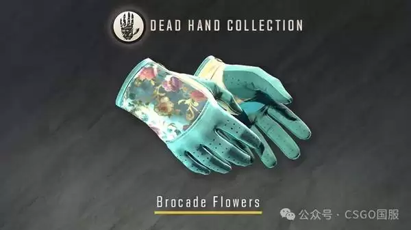 CS2����֮���ղ�ƷƤ��չʾ