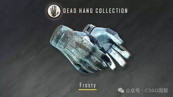 CS2����֮���ղ�ƷƤ��չʾ