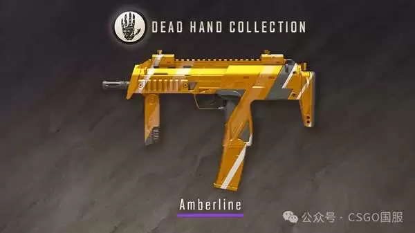 CS2����֮���ղ�ƷƤ��չʾ