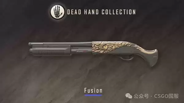 CS2����֮���ղ�ƷƤ��չʾ