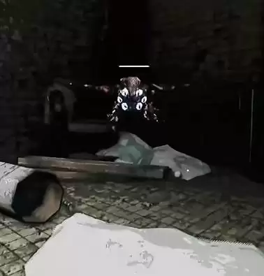 笼子全怪物应对方法 全怪物特性讲解 笼子全怪物应对方法 全怪物特性讲解