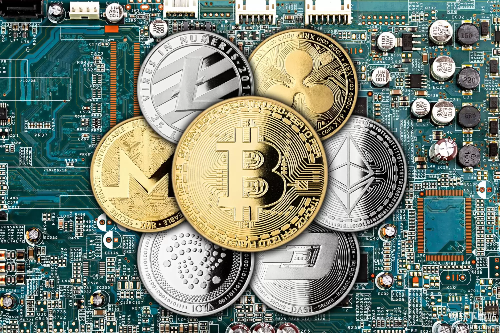 ʮ�����������������ɶ����ǰ��������Ҷ�����Щ