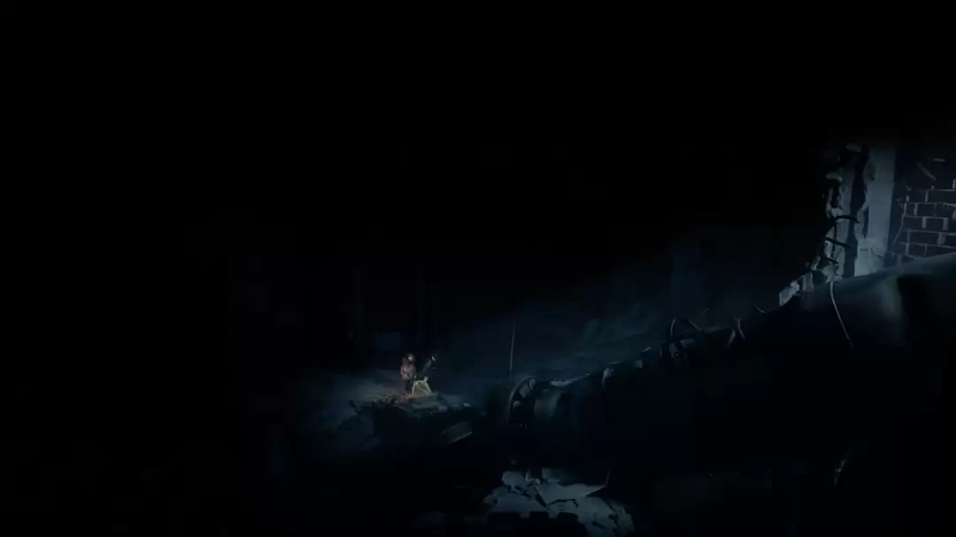 ���������ܡ���ľ����ռ�ָ��