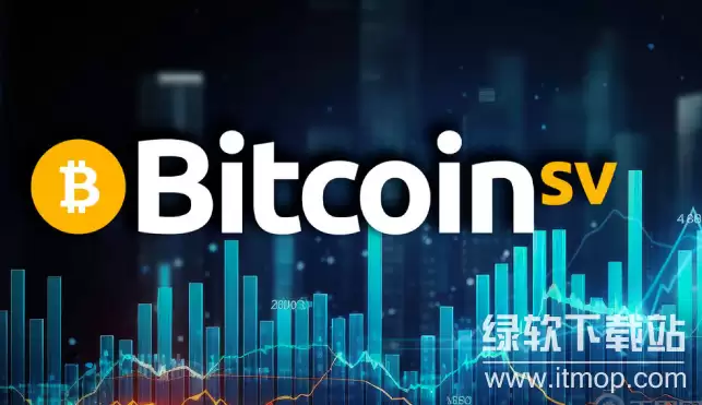 BSV��ʲô���͵ļ��ܻ��ң�������������֮һ��