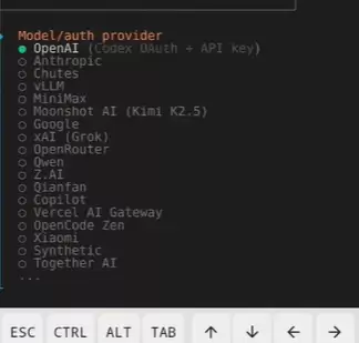 OpenClaw�ֻ�������