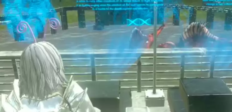 �����ۣ��������������������ɹ���