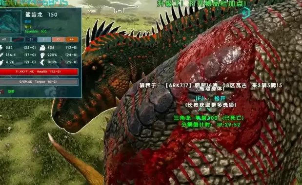 �����ۣ������������������ѱ������