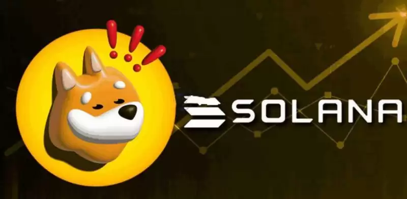 Solana���ϵı�����Щ��2026��Solana���ϵı��ִ��̵�