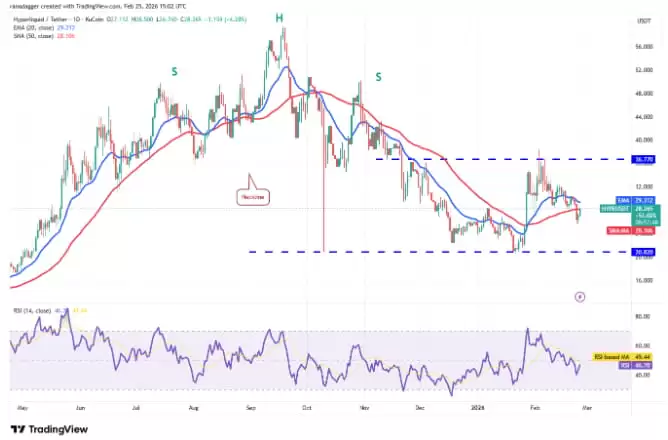 ���ż��ܻ��Ҽ۸�����Ԥ�⣺���رҡ���̫�����Ұ��ҡ�Solana��