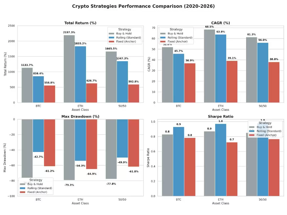 ˫��Ӯ����ܴ�Խţ����?2020-2026����ز������