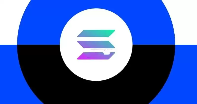 Solana���ϵı�����Щ��2026��Solana���ϵı��ִ��̵�