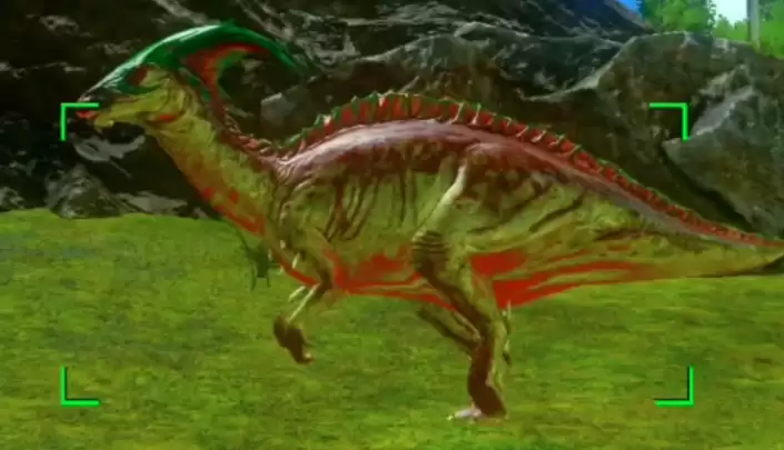 �����ۣ��������������������ɹ���