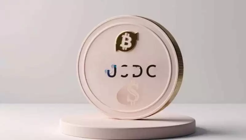 Solana���ϵı�����Щ��2026��Solana���ϵı��ִ��̵�