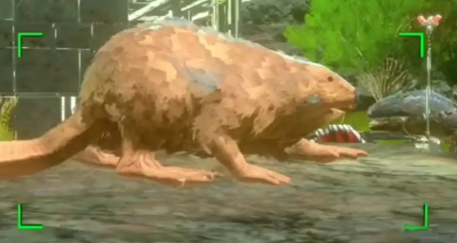 �����ۣ��������������������ɹ���